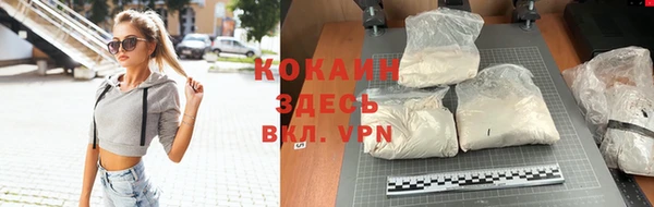 ПСИЛОЦИБИНОВЫЕ ГРИБЫ Богданович