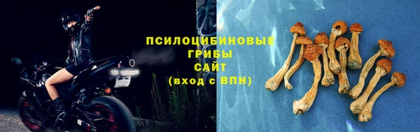 МДПВ Богородицк