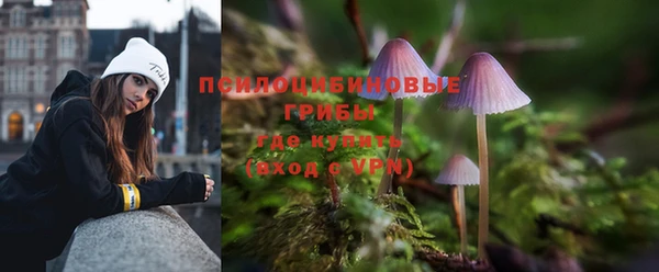ПСИЛОЦИБИНОВЫЕ ГРИБЫ Богданович