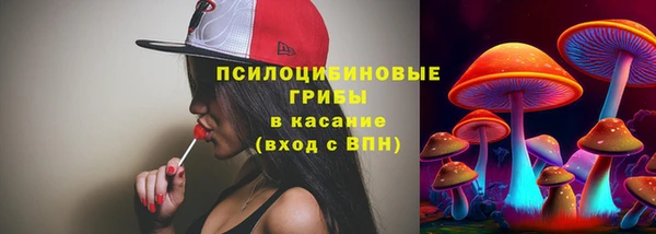 ПСИЛОЦИБИНОВЫЕ ГРИБЫ Богданович