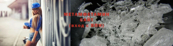 ПСИЛОЦИБИНОВЫЕ ГРИБЫ Богданович