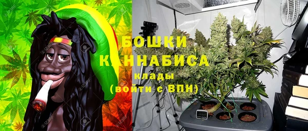 МДПВ Богородицк