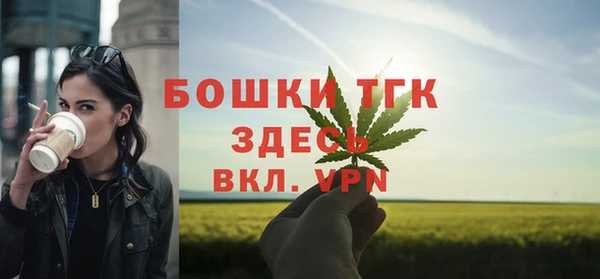 МДПВ Богородицк