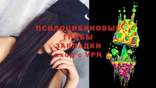 МДПВ Богородицк