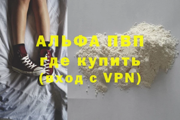 ПСИЛОЦИБИНОВЫЕ ГРИБЫ Богданович