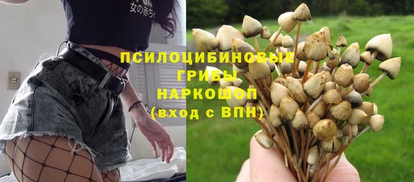 ПСИЛОЦИБИНОВЫЕ ГРИБЫ Богданович