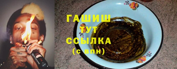 ПСИЛОЦИБИНОВЫЕ ГРИБЫ Богданович