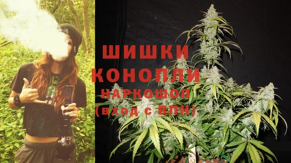 МДПВ Богородицк