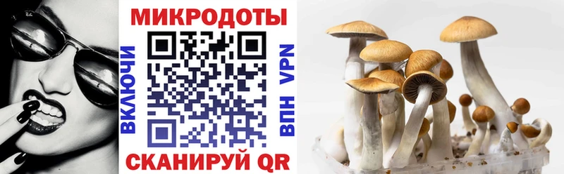 Галлюциногенные грибы мухоморы Велиж